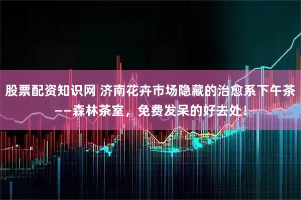 股票配资知识网 济南花卉市场隐藏的治愈系下午茶——森林茶室,免费发呆的好去处!