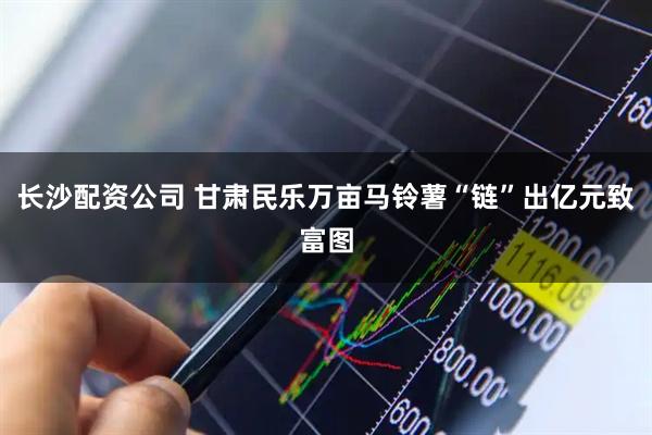长沙配资公司 甘肃民乐万亩马铃薯“链”出亿元致富图
